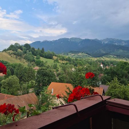 Vila Muntii Bucegi & Spa Bran  Exterior foto